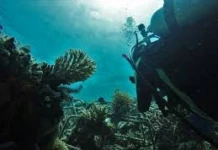 Snorkling di salah satu pulau Kepulauan Spermonde